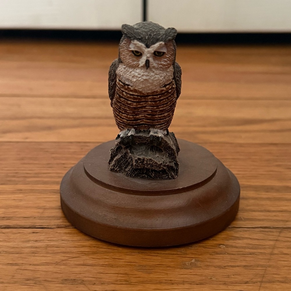 Cold Bronze Cast Charles Earnhardt Horned Owl Blue Ridge Mountain